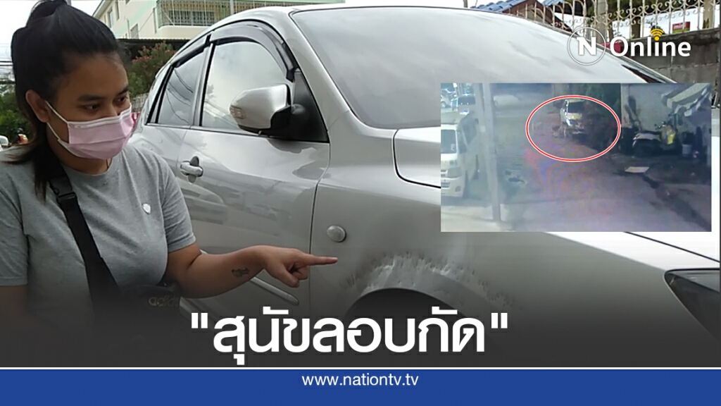 เจ้าของเซ็งเจอ "สุนัขจรจัด" รุมแทะรถยนต์จ่ายค่าซ่อมนับหมื่น