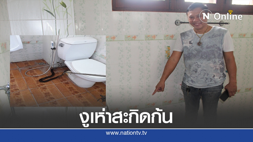 หนุ่มเชฟเบเกอรี่การบินไทยผวา งูเห่าโผล่ชักโครกขณะปลดทุกข์