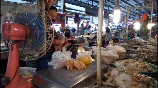 พิสูจน์ ไข่ปลาเด้งได้จริงหรือปลอม