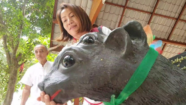 แห่ขอโชคเจ้าแม่จันทร์เทวี-แมงสี่หูห้าตา