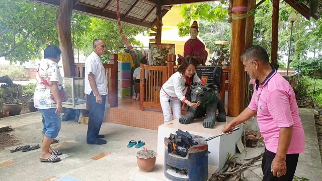 แห่ขอโชคเจ้าแม่จันทร์เทวี-แมงสี่หูห้าตา