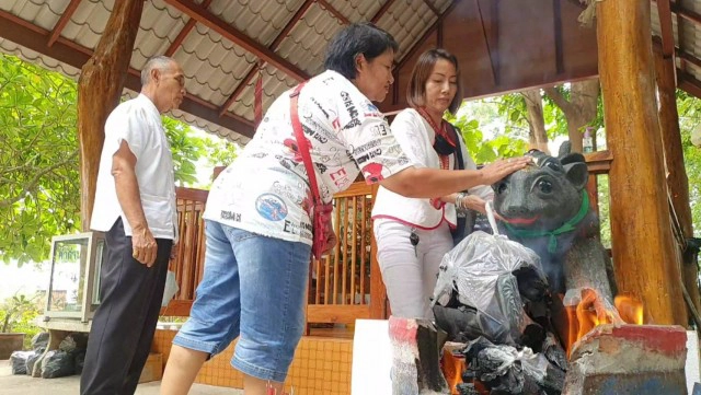 แห่ขอโชคเจ้าแม่จันทร์เทวี-แมงสี่หูห้าตา