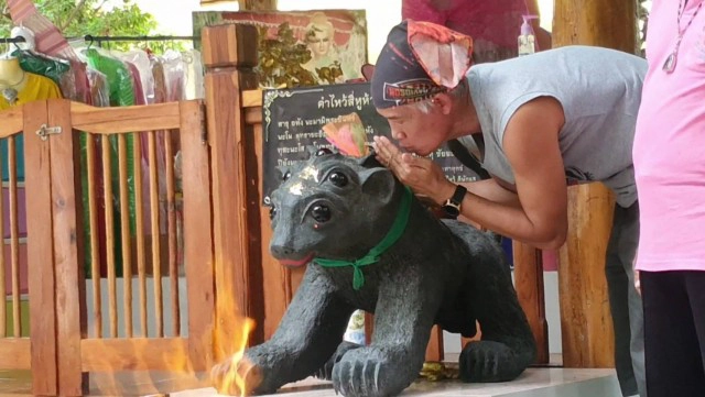 แห่ขอโชคเจ้าแม่จันทร์เทวี-แมงสี่หูห้าตา