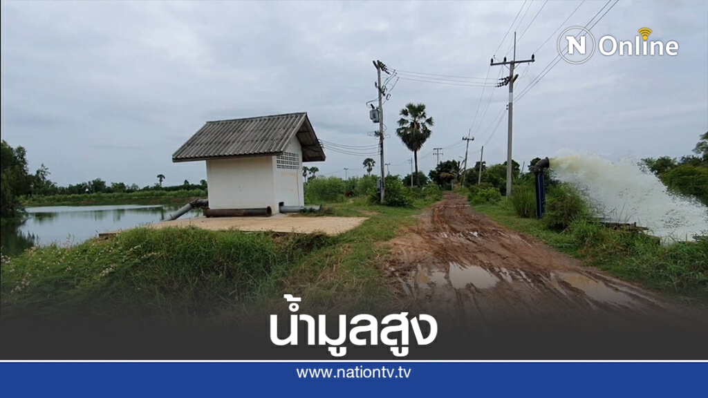 เกษตรกรดีใจมีน้ำเลี้ยงนาข้าวหลังฝนตกน้ำมูลเพิ่มสูง เกษตรกรดีใจมีน้ำเลี้ยงนาข้าวหลังฝนตกน้ำมูลเพิ่มสูง