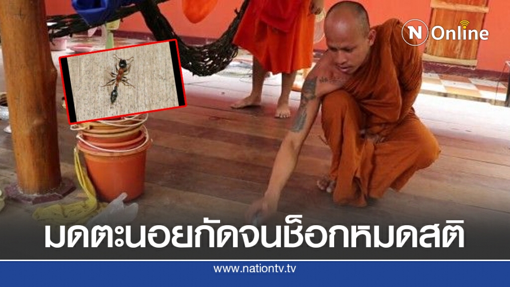 สุดสะพรึง!! พระถูกมดตะนอยกัด จนช็อกหมดสติ