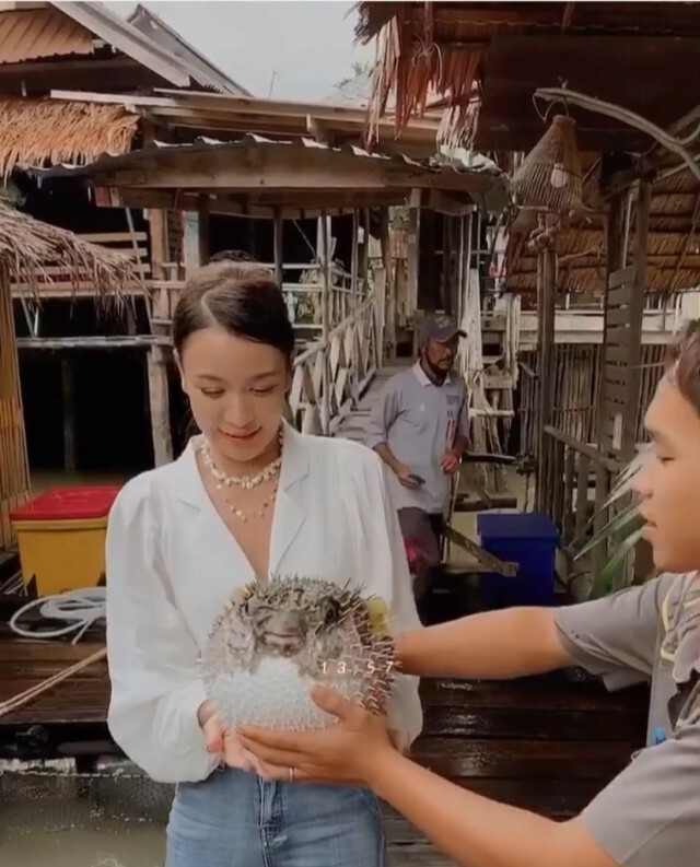 "เบนซ์ ปุณยาพร"  โพสต์คลิป อุ้มปลาปักเป้าขณะพองตัว