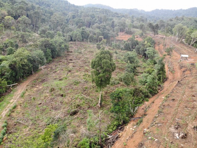 รุกป่าต้นน้ำ อำเภอขลุง จันทบรี