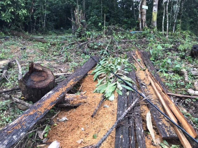 รุกป่าต้นน้ำ อำเภอขลุง จันทบรี