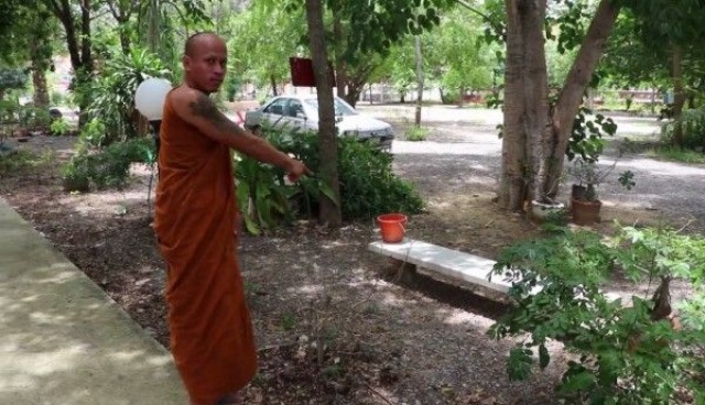 สุดสะพรึง!! พระถูกมดตะนอยกัด จนช็อกหมดสติ