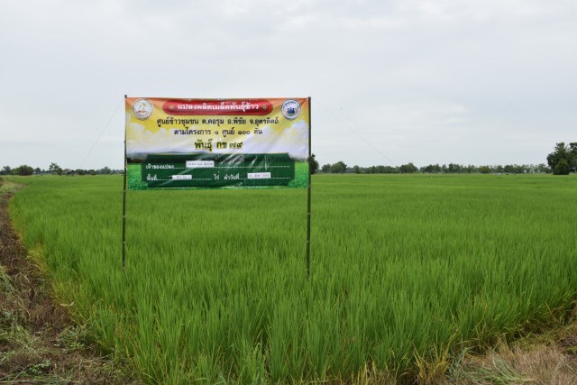 "ประภัตร"ลั่นขอทวงคืนแชมป์ส่งออกข้าว