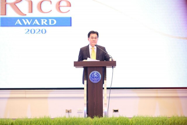 "กระทรวงพาณิชย์ คัดสุดยอดพันธุ์ข้าวหอมมะลิไทย ครั้งที่38"