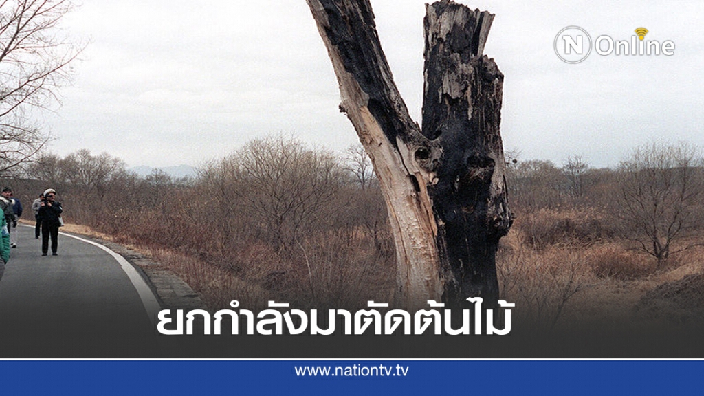 18 ส.ค. 2519 ศึกชิงตัดต้นไม้ 1 ต้น 18 ส.ค. 2519 ศึกชิงตัดต้นไม้ 1 ต้น