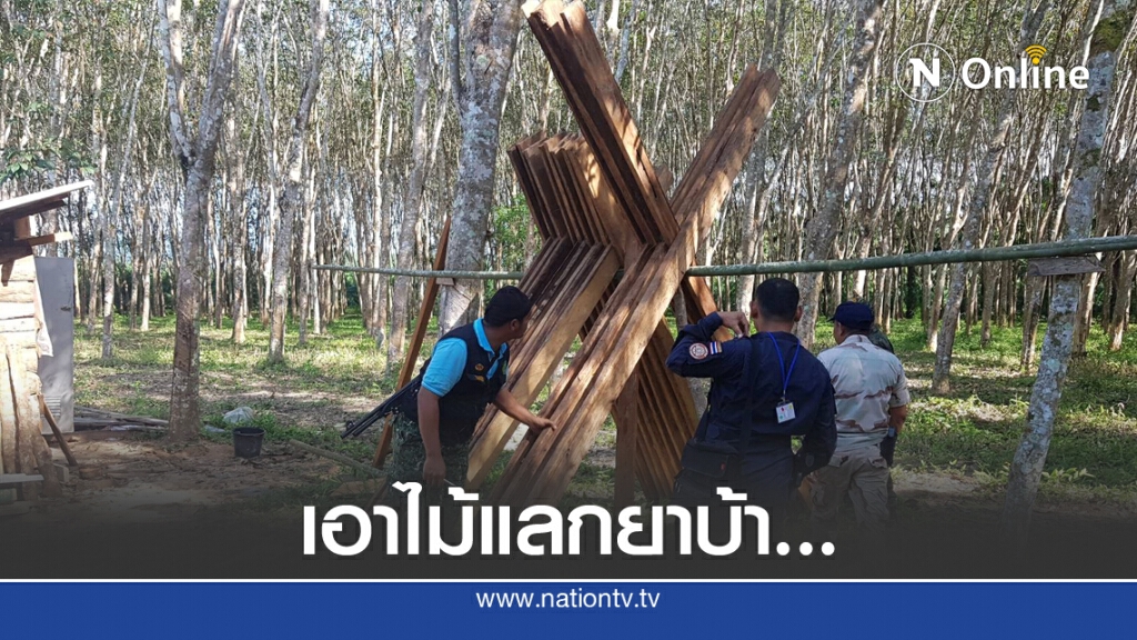 จับ 2 ผัวเมีย หัวใสขายยาบ้าแลกไม้แปรรูป จับ 2 ผัวเมีย หัวใสขายยาบ้าแลกไม้แปรรูป