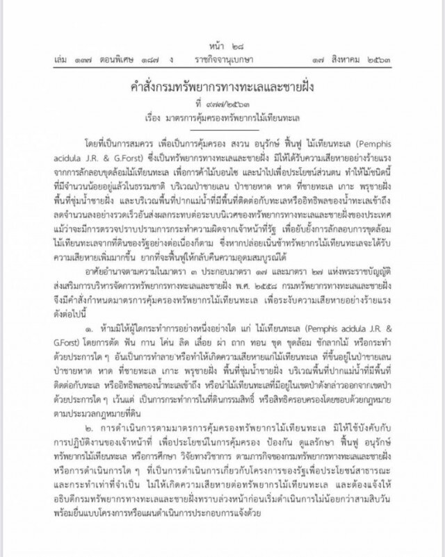 ราชกิจจาฯ ประกาศแล้ว!! ลอบตัด "ไม้เทียนทะเล" มีโทษหนัก
