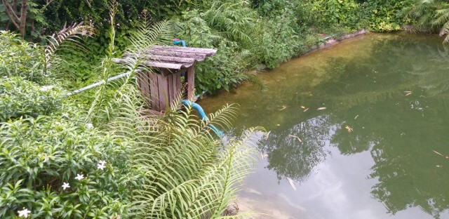 ยึดที่ดินพ่อตาปศุสัตว์จังหวัดลำพูนรุกป่า