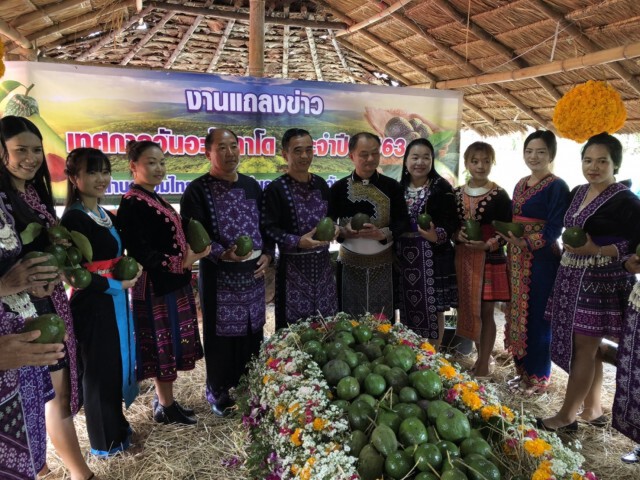 สวนกระแสโควิด-อะโวคาโด ออเดอร์เพียบ