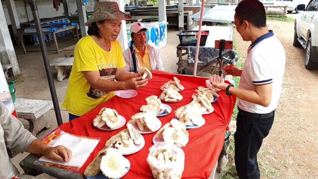 ชาวบ้านแห่ขึ้นดอยเก็บเห็ดหารายได้เสริม