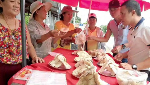 ชาวบ้านแห่ขึ้นดอยเก็บเห็ดหารายได้เสริม
