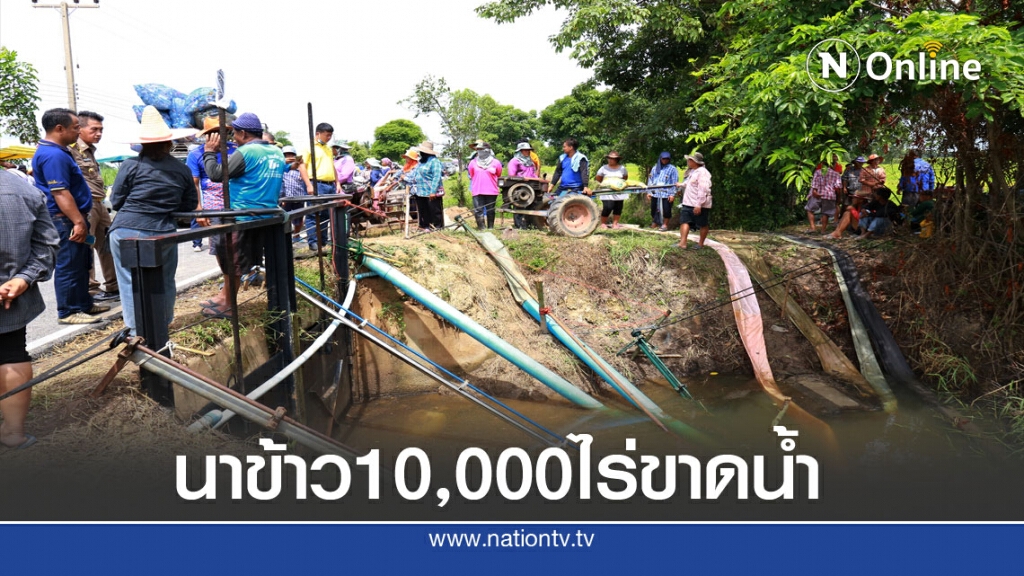 แล้งจัดนาข้าว10,000 ไร่ขาดน้ำ