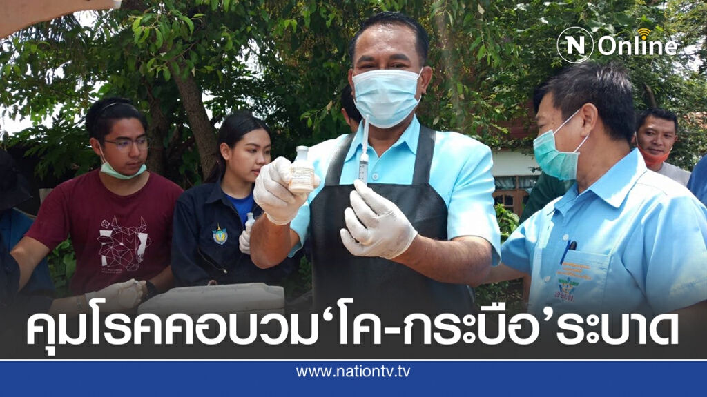 กรมปศุสัตว์วอนเกษตรกรฉีดวัคซีนกันโรคคอบวมโค-กระบือ