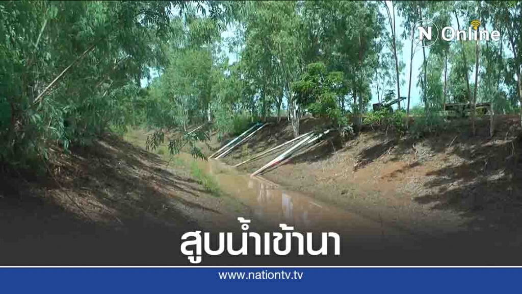 เกษตรกรพิจิตรต่อคิวสูบน้ำเข้านาข้าว
