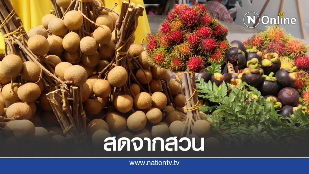 "สดจากสวน ชวนมาช๊อป" ที่ตลาดบางลำภู "สดจากสวน ชวนมาช๊อป" ที่ตลาดบางลำภู