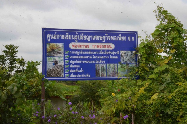 หนุ่มใหญ่พลิกไร่มันน้ำท่วมปลูกอินทผลัมโกยเงินล้าน