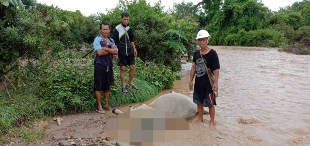 สั่งรับมือพายุ"ฮีโกส"-ระวังสัตว์เลี้ยงติดแม่น้ำ