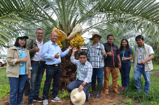 หนุ่มใหญ่พลิกไร่มันน้ำท่วมปลูกอินทผลัมโกยเงินล้าน