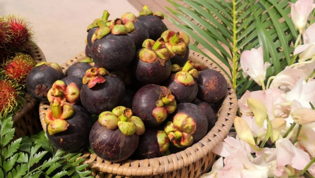 "สดจากสวน ชวนมาช๊อป" ที่ตลาดบางลำภู