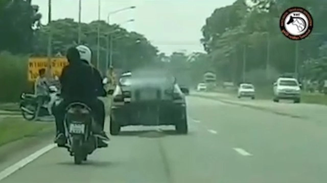 เจอแล้ว ผู้ก่อเหตุคลิปรถลากหมาดับคาถนน พบ เป็นพระกับเด็กวัด