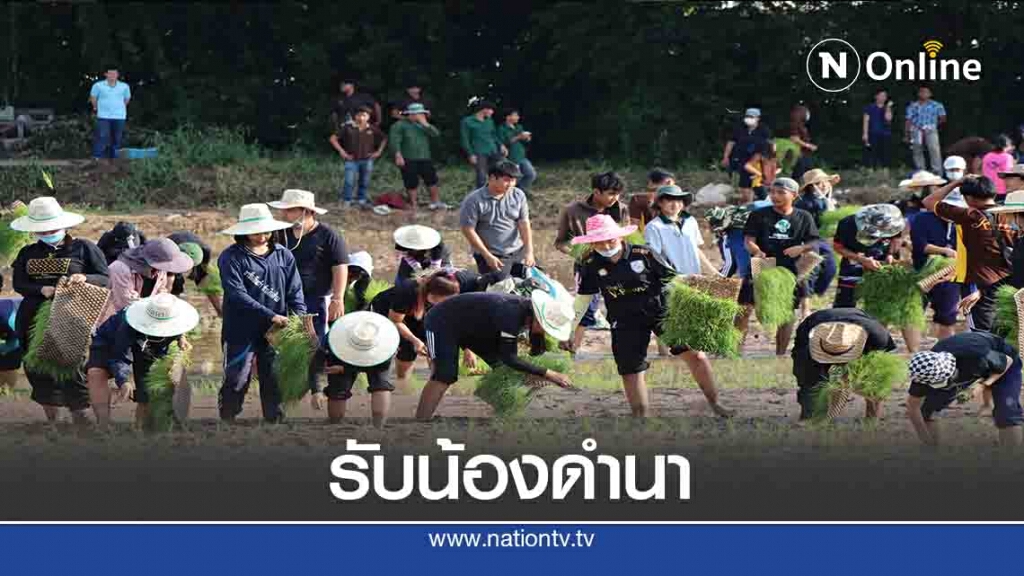 มทร.ล้านนาพิษณุโลก จัดรับน้องดำนา