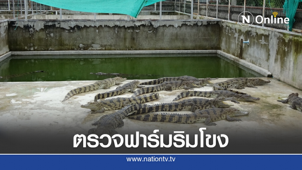 น้ำโขงยังขึ้นเร็วเร่งตรวจฟาร์มจระเข้
