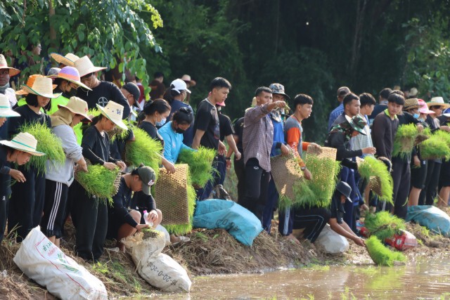 มทร.ล้านนาพิษณุโลก จัดรับน้องดำนา