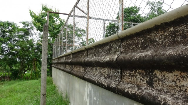 น้ำโขงยังขึ้นเร็วเร่งตรวจฟาร์มจระเข้