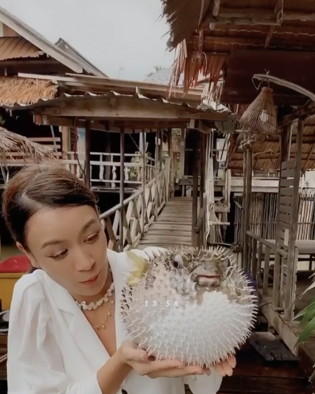 ‘เบนซ์ ปุณยาพร  ’ ขอโทษดราม่าอุ้มปลาปักเป้า