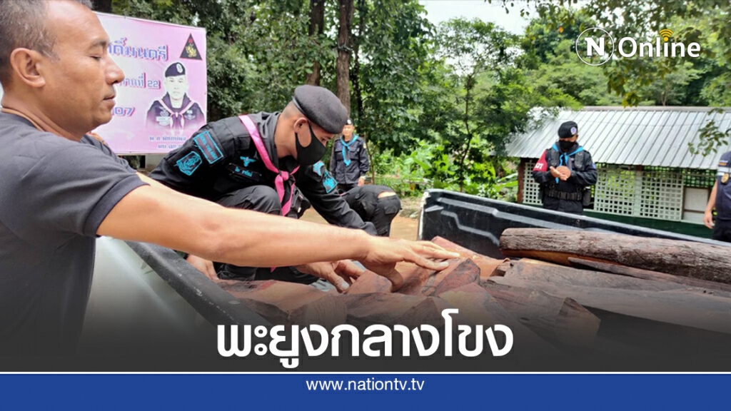 จับขบวนการค้าไม้พะยูงข้ามชาติกลางโขง จับขบวนการค้าไม้พะยูงข้ามชาติกลางโขง