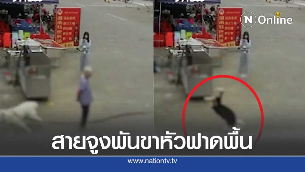 อุทธาหรณ์สายจูงสุนัขคร่าชีวิตชายชรา อุทธาหรณ์สายจูงสุนัขคร่าชีวิตชายชรา