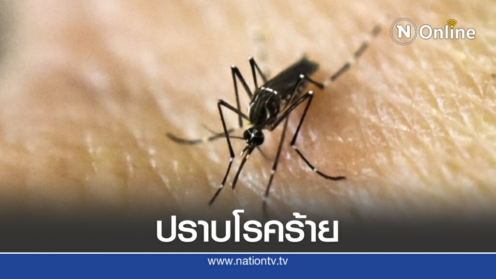 จีนพัฒนาวัคซีนโรคไข้สมองอักเสบ ป้องกันได้ถึง 2 ไวรัสในโดสเดียว