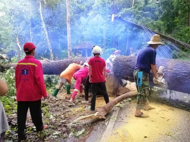น้ำป่าหลาก"แม่กำปอง"อ่วม ดินสไลด์-ไฟดับ