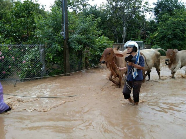 เร่งช่วยเหลือชาวเชียงม่วนบ้านเรือนถูกน้ำท่วม