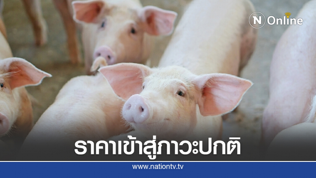 สมาคมหมูฯ ปลื้มรัฐแก้ปัญหาราคาตรงจุด