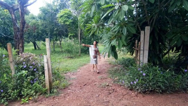 ช้างป่าบุกกินพืชไร่ชาวบ้าน จนท.หารือลดการเผชิญหน้าคนกับช้าง