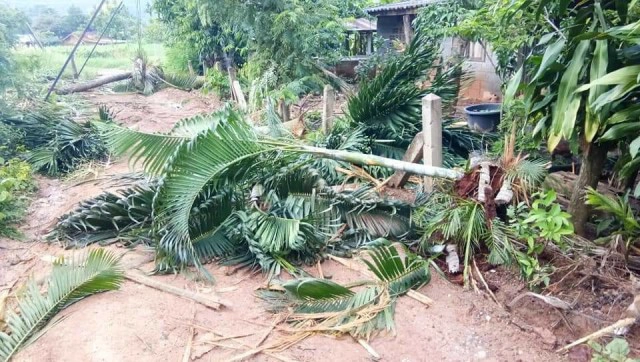 ช้างป่าบุกกินพืชไร่ชาวบ้าน จนท.หารือลดการเผชิญหน้าคนกับช้าง