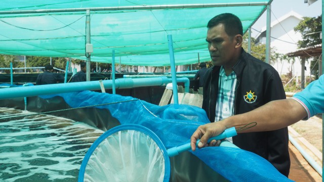 นำร่องเลี้ยง "กุ้งขาว" พัฒนาเป็นสมาร์ทฟาร์ม
