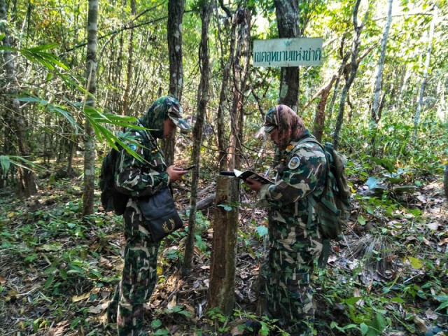 ติวเข้มเครือข่าย"เมืองรักษ์นกยูงไทยระดับโลก "