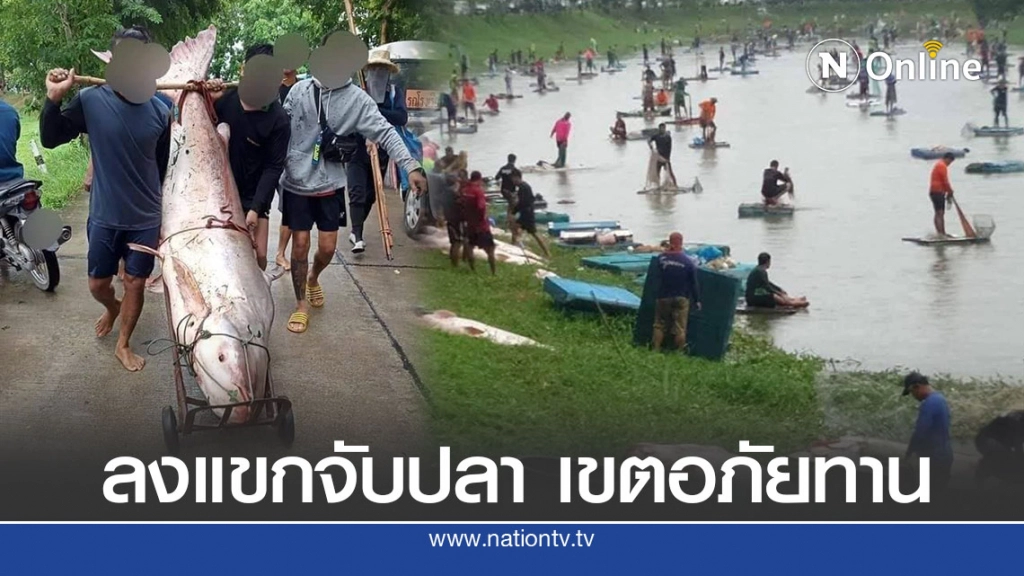 โซเชียลแฉ อบต. เปิดประมูลจัดงานล่าปลาบึกยักษ์ ในหนองน้ำเก่าแก่เขตอภัยทาน