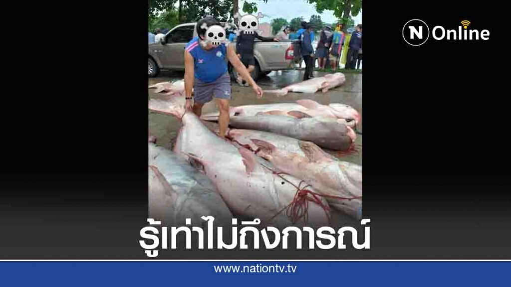 "ขอโทษ"ลงแขกจับปลาบึก"รู้เท่าไม่ถึงการณ์" "ขอโทษ"ลงแขกจับปลาบึก"รู้เท่าไม่ถึงการณ์"
