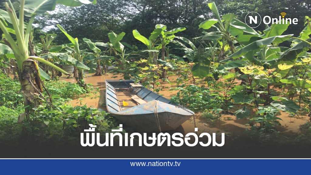 น้ำท่วมกระทบพื้นที่เกษตร2อำเภออ่วม