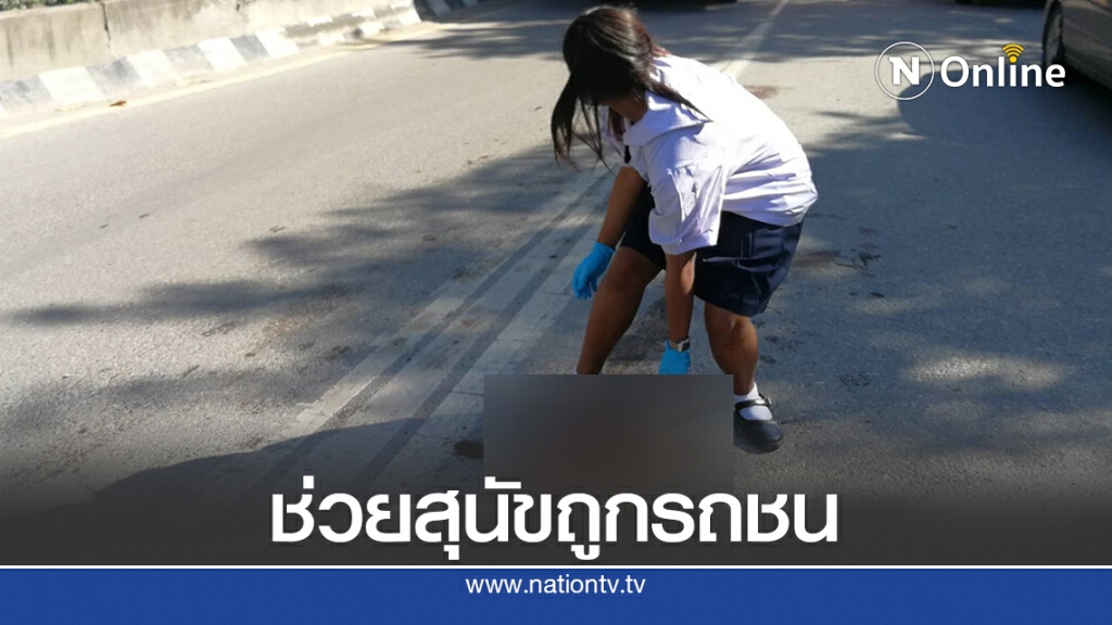ทำดีที่สุดแล้ว ชื่นชมนางฟ้าชุดนักเรียน ช่วยสุนัขถูกรถชน ทำดีที่สุดแล้ว ชื่นชมนางฟ้าชุดนักเรียน ช่วยสุนัขถูกรถชน
